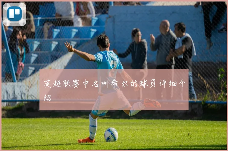 英超联赛中名叫希尔的球员详细介绍