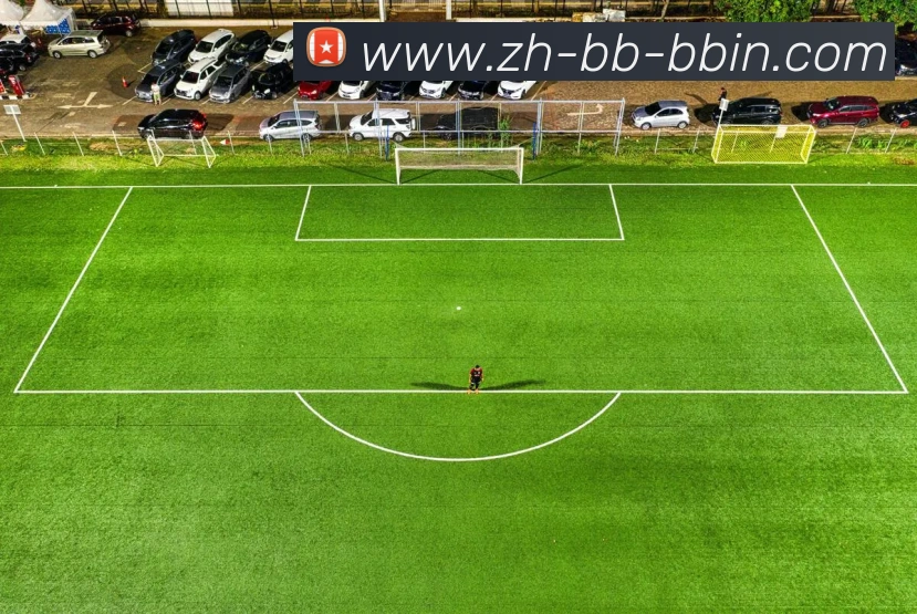 bbin宝盈平台生态图